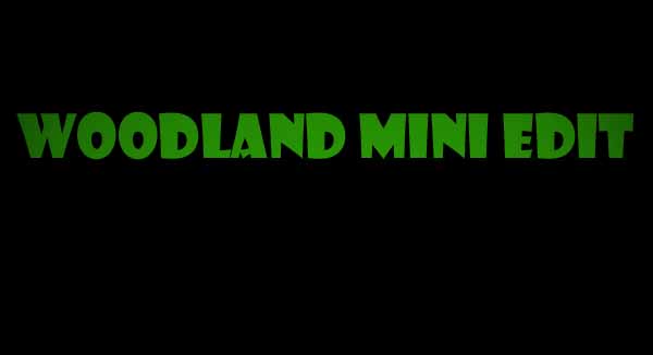 thewoodlandminiedit.jpg